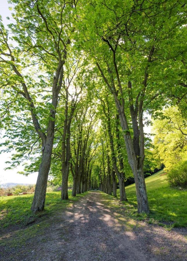 Urlaub In Schlossnaehe Artstetten 외부 사진